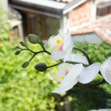 Carera アパート